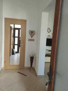 Apartment in the historical house - Timişoara - 3