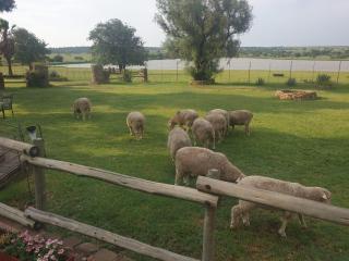 Uitzicht Guest Farm - 1