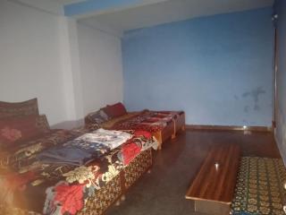 Dog n Hill - Kasol - 8