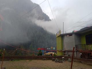 Dog n Hill - Kasol - 9
