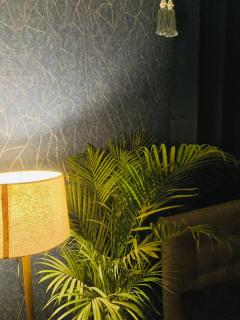 The Urban Oasis - Guwahati - 3