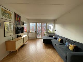 Cozy Luxury - Sunny Balcony in City Center - Copenaghen - 9