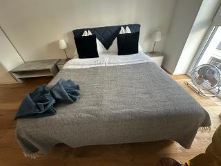 Beauty Apartment Erlachgasse - Wenen - 8