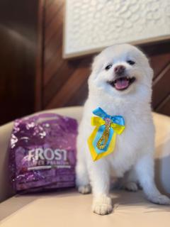 Vila Suzana Parque Hotel - Canela - 1