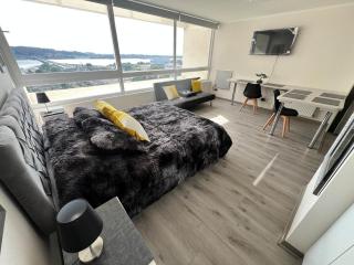 17 Nuevo - Concepción - 9