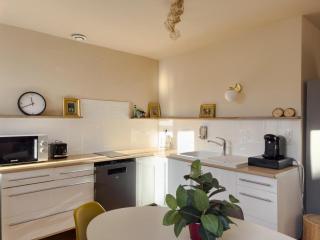 Duplex lumineux 2 chambres centre zone piétonne - 1