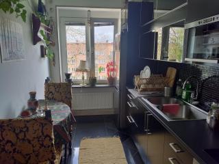 Comfortable and Pleasant Flat! - Malmö - 2