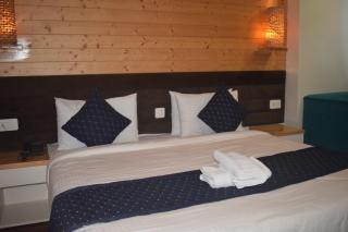 Elements Boutique Hotel - Gangtok - 9