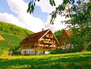 Weingut und Ferienhof Josef Huber - Oberkirch - 8