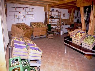Ferienwohnung Aichem - Radolfzell am Bodensee - 2