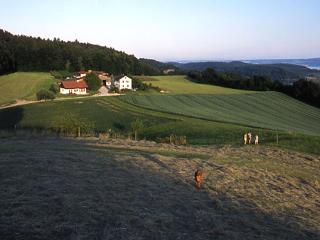 Ferienwohnung Aichem - Radolfzell am Bodensee - 6