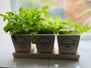 Jubilee Holiday Cottage - - 1