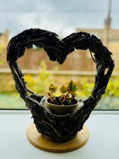 Jubilee Holiday Cottage - - 8