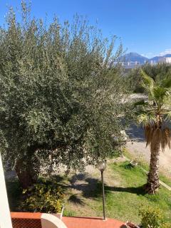 Residence lì a 100 mt dal mare Scario Cilento coast - Scario - 3