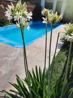 La casita de la Nona - 2