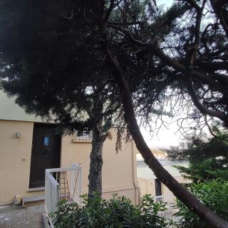 La pinede a 1km de la plage - Saint-Mandrier-sur-Mer - 5