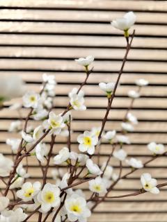 Le Gregorien, Centre de Saint Gregoire - 8