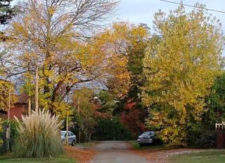 Pilares Golf B&B - 7