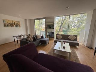Amazing Apt 2 bed 2 bath in Roma - Condesa - Città del Messico - 0