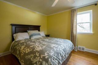 K9 Cottage MainLine - Berwyn - 1