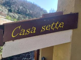 Villa 7 Torri del Benaco Ac / wi-fi Vista lago - 4