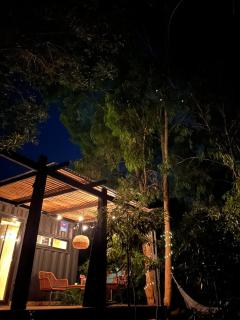 Bosque Santa Monica - Lavanda - 9