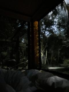 Bosque Santa Monica - Lavanda - 5