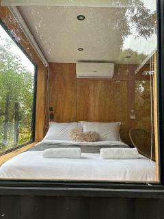 Bosque Santa Monica - Lavanda - 1