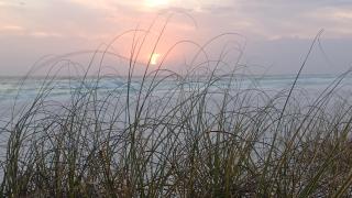 COUPLES GETAWAY, HONEYMOON SWEET, Perfectly Cozy Beach Front Condo with kitchen, pool, free parking,CHECK-IN AT DOOR - 7