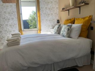 Welcoming and peaceful bed and breakfast - Fougerolles-du-Plessis - 2