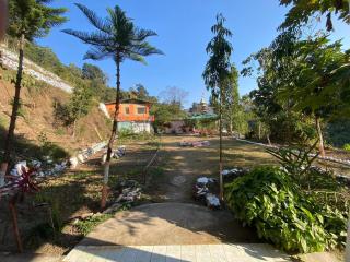 Maunvan - The Silent Forest - Rishīkesh - 2