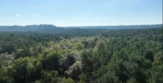Rustic Forest House, Barbizon - Arbonne-la-Foret - 7
