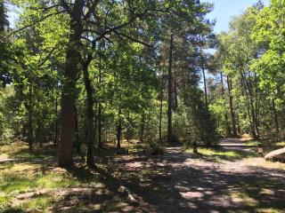 Rustic Forest House, Barbizon - Arbonne-la-Foret - 6