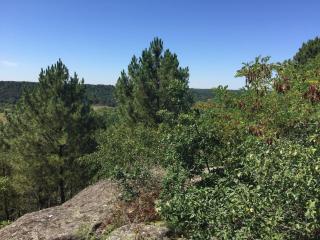 Rustic Forest House, Barbizon - Arbonne-la-Foret - 4