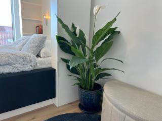 APARTMENT Blue Heaven - Brno - 3