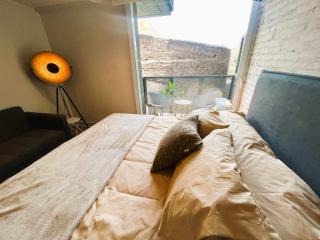 HOM I A estrenar Estudio con AireA en calle Curico - Santiago - 9