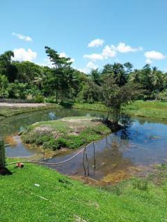 Sitio fonte das aguas - 2