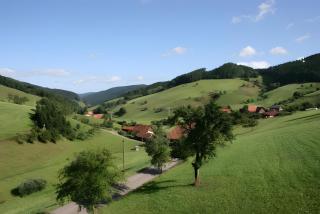 Geigerseppleshof - Mühlenbach - 9