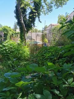 le cabanon du clos - LʼIsle-sur-la-Sorgue - 8
