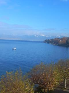 Bellerive, pieds dans l'eau lac & montagnes - Publier - 5