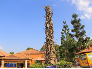 satellite holiday resort - Ntungamo - 2