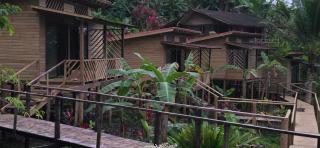 Pacific Nuqui Lodge - Nuquí - 6