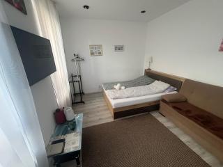 Studio Plaza Ultracentral - Sibiu - 8