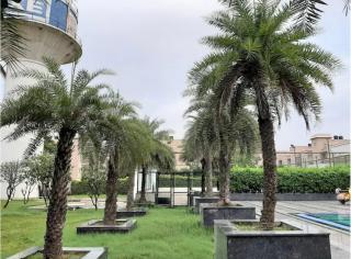 Eraya Elegance Inn - - 3