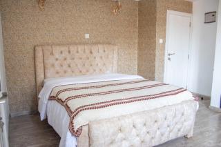 Luxurious svd 4bdrms all ensuite Westland - Nairobi - 3