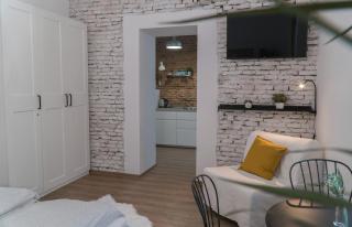 City Center Festival Apartment - Cluj-Napoca - 1