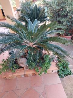 Acquamarina - Custonaci - 1