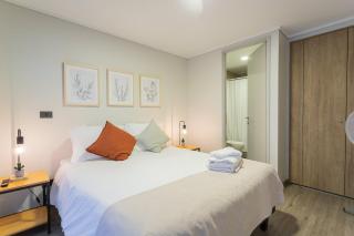 Modern and comfortable 1BR 1BA in Santiago - Santiago - 1