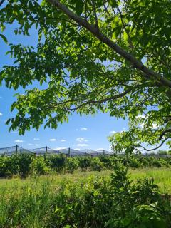 Eco loft en Finca Vanek - 9