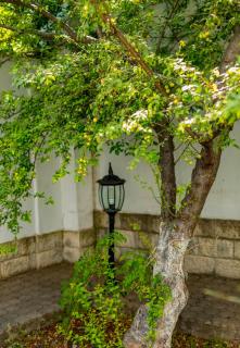 Garden Villa - 6
